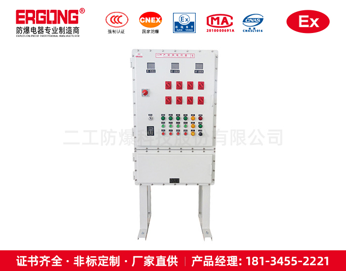 防爆控制箱（柜）-8
